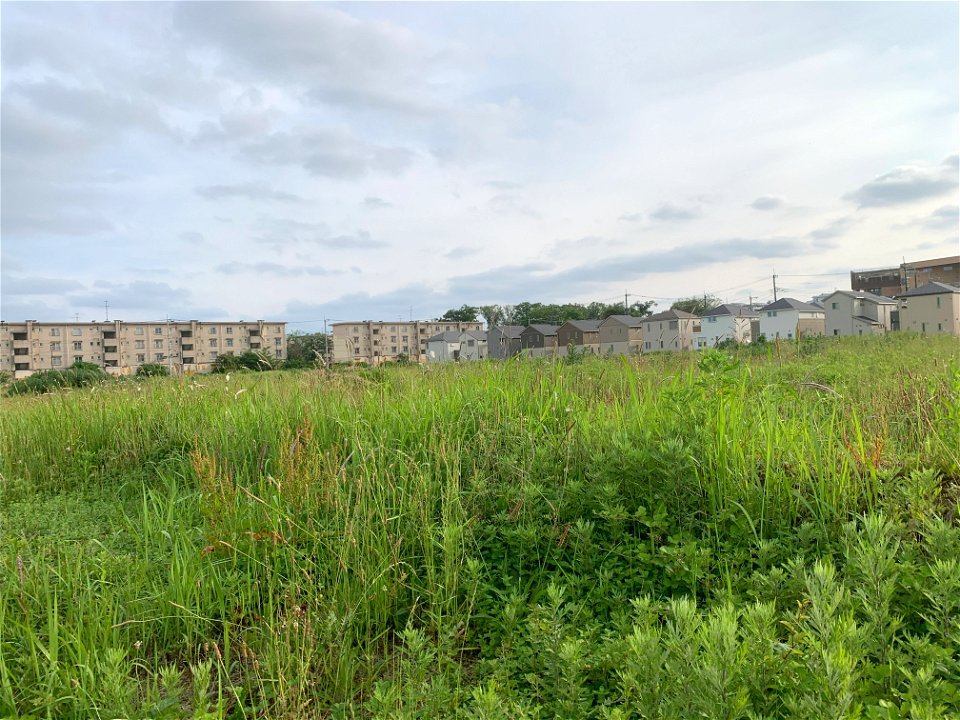 Uenohara in Higashikurume-shi