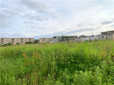 Uenohara in Higashikurume-shi