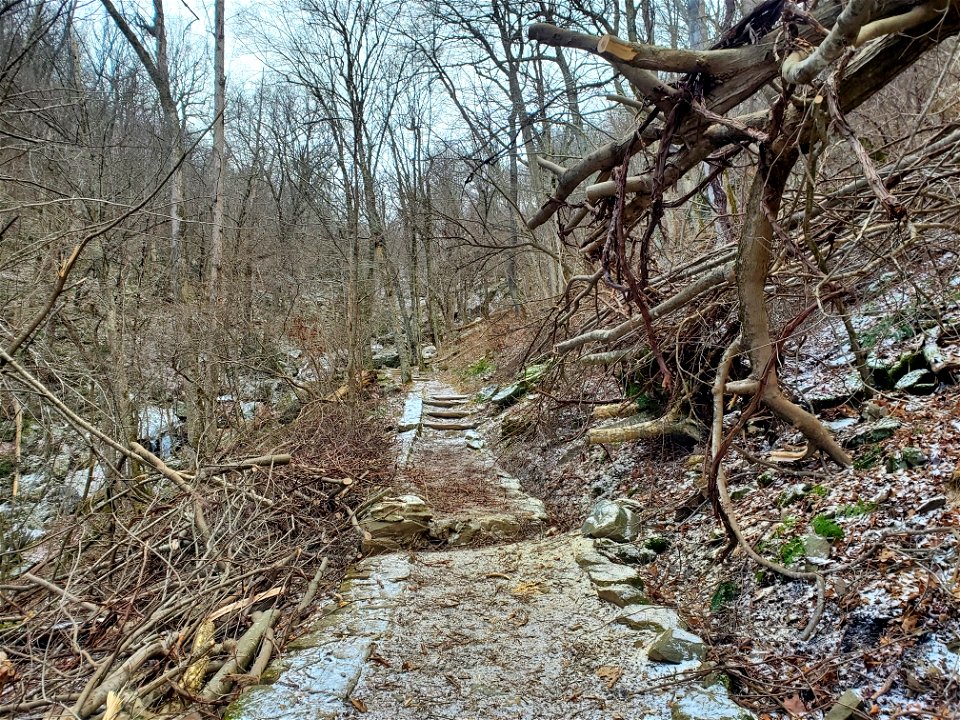 Dark Hollow - after (2)