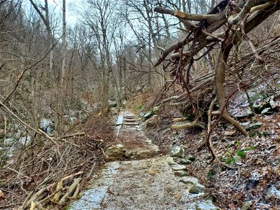 Dark Hollow - after (2)