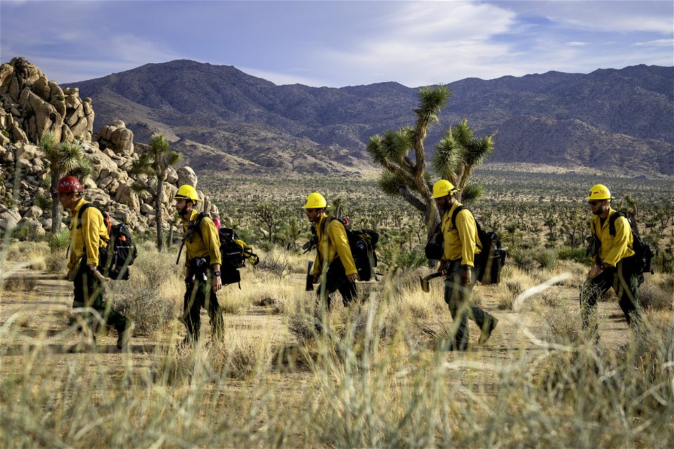 Wildland fire crew patrolling near Quail Mountain