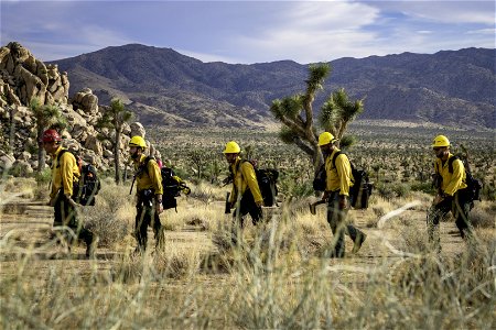 Wildland fire crew patrolling near Quail Mountain