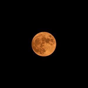 Day 205 - Full Moon on 7-23-21 photo