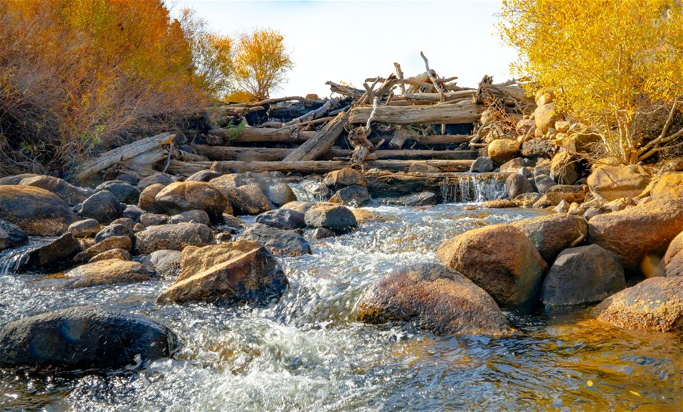 Dynamo Pond photo