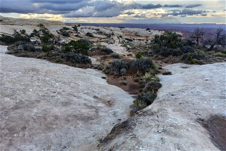 Cedar Mesa