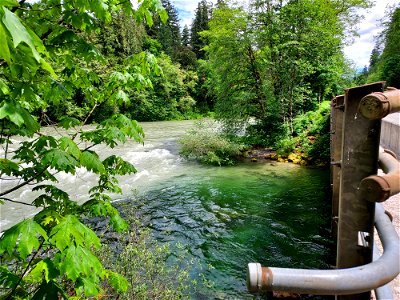 Confluence of Clear Creek with the Sauk River, Mt. Baker-Snoqualmie National Forest. Photo by Anne Vassar June 4, 2021. photo