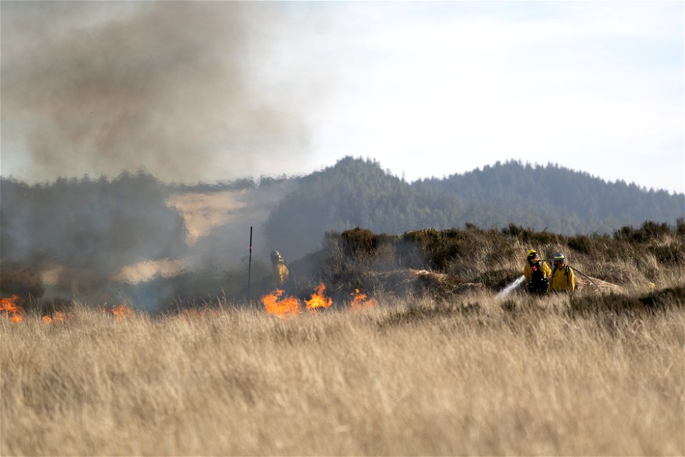 Siuslaw Oregon Dunes Prescribed Burn 2022
