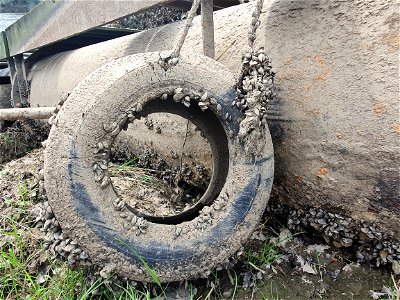 Overstroming Roermond