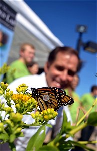 Director Dan Ashe after the first tagged monarchs are released photo