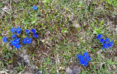 IMG_20210524_125531
