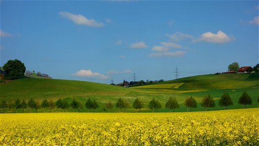 DSC09369