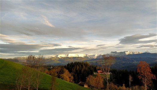 IMG_20221106_163111