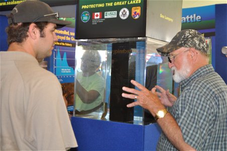 Sea lamprey on display. USFWS Photo. photo