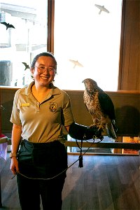 Refuge Educator with a Juvenile Swainson's Hawk