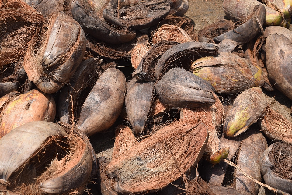 Coconut waste recycling