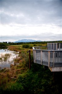 One of the viewing platforms at the lower river - Photo courtesy of C. Chapman photo