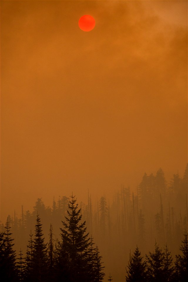 or_17-09-03_0720jpg_49385541121_o