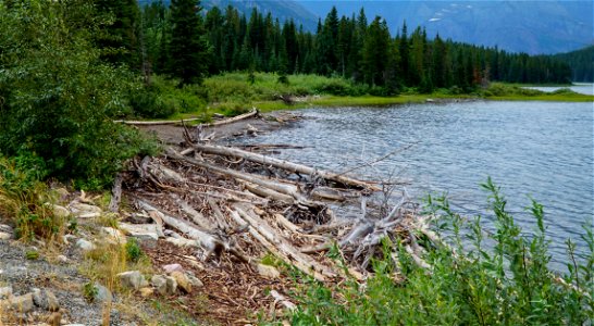 Many Glacier Hotel SW Beach photo