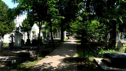 Bellu_cemetery (44) photo