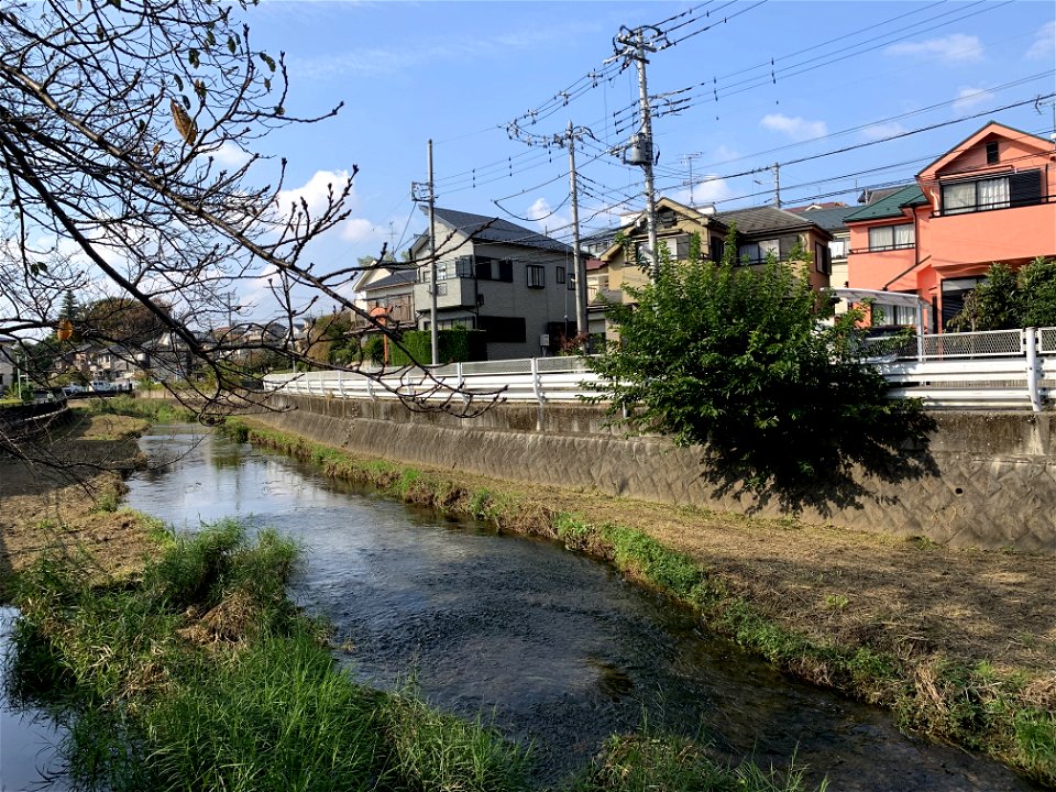 Kurome River in Koyama, Higashikurume-shi in November
