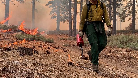 Prescribed Fire