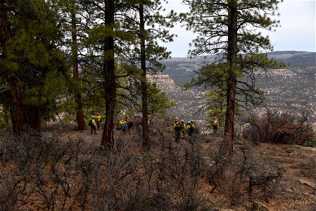 Ray Mesa Prescribed Burn Fall 2021