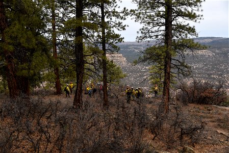 Ray Mesa Prescribed Burn Fall 2021 photo