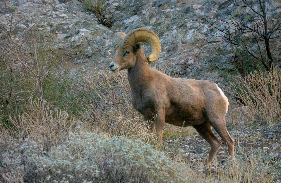 San Gorgonio Wilderness in Sand to Snow National Monument