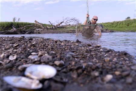 Mussel Collection in SD's James River