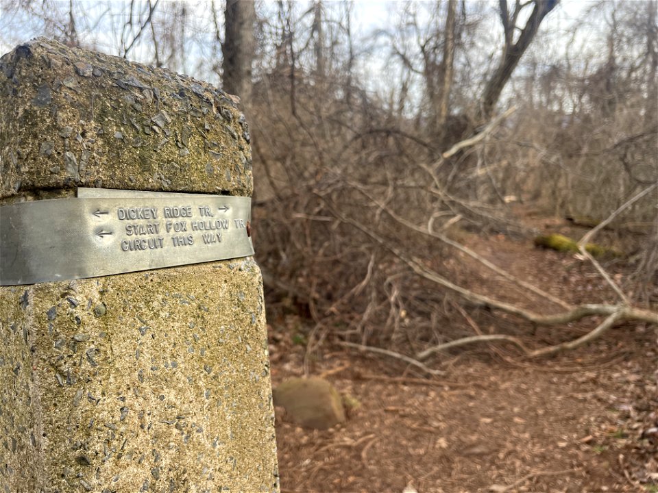 Ice Storm Cleanup North District/Fox Hollow Trail