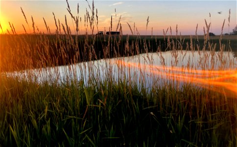 2022/365/227 Sweeps of Sun Over the Pond