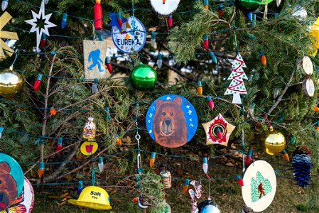 CapitolXmasTreeLighting-WashingtonDC-009 photo