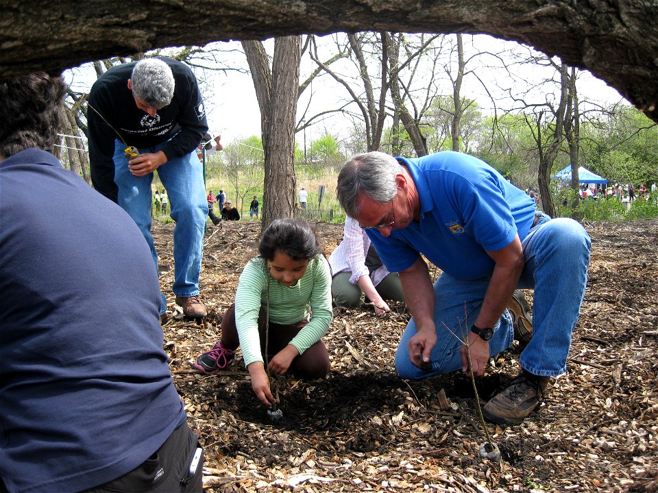 R3 RD Tom Melius helps plant seedlings photo