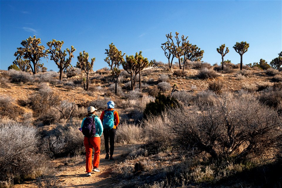 Hiking the Covington Crest trail