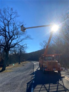 Ice Storm Cleanup