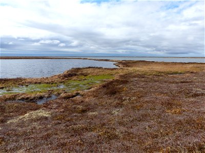 Tundra wetland photo