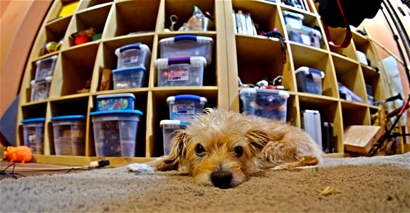 Tucker and the project wall