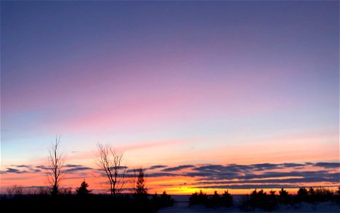 Words Fail to Describe All The Colors