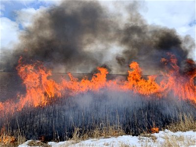 2021 USFWS Fire Employee Photo Contest Category: Landscape and Fire photo