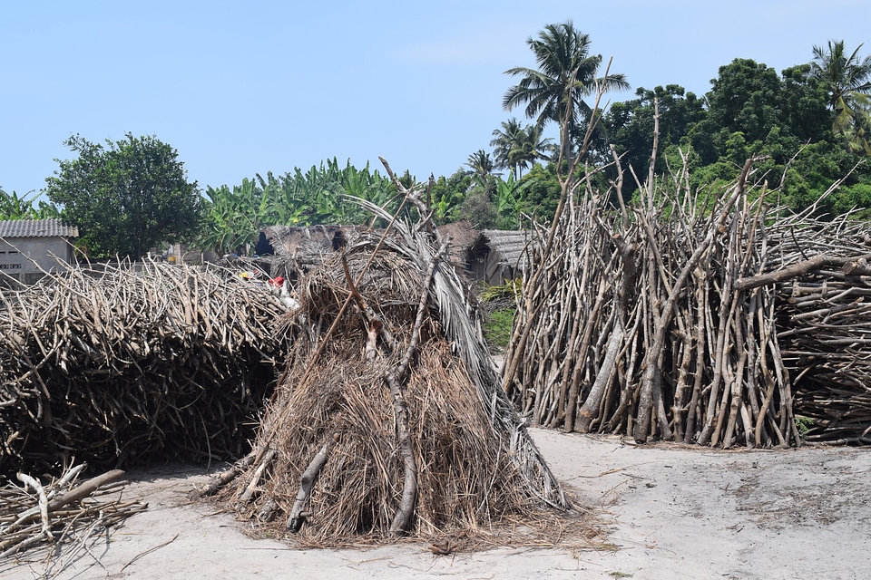 Dead wood bundles village