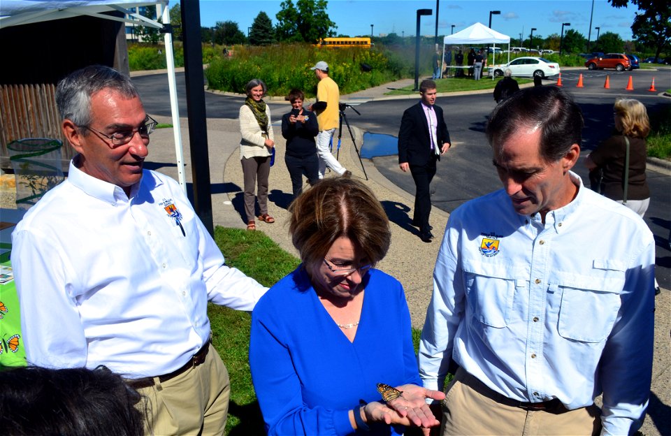 FWS Director Tom Melius, Senator Klobuchar and FWS Director Dan Ashe release monarchs after tagging!