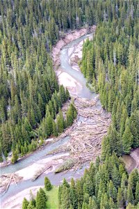 Yellowstone flood event 2022: debris in Soda Butte Creek (2) photo