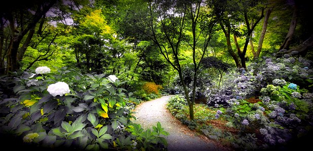 Christchurch Botanical Gardens. photo