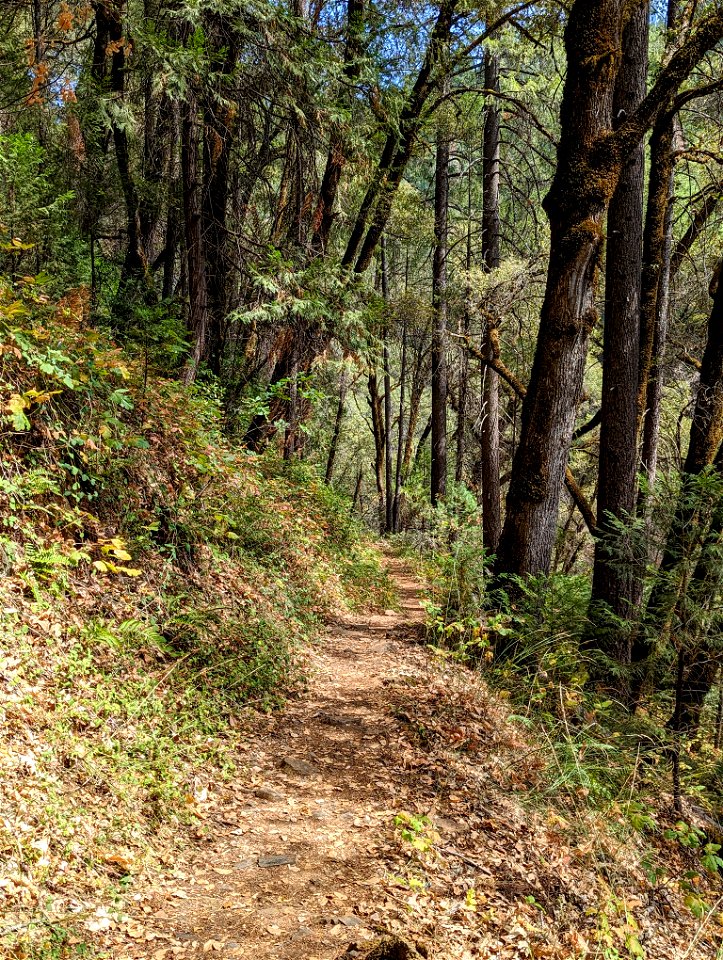 South Yuba National Trail