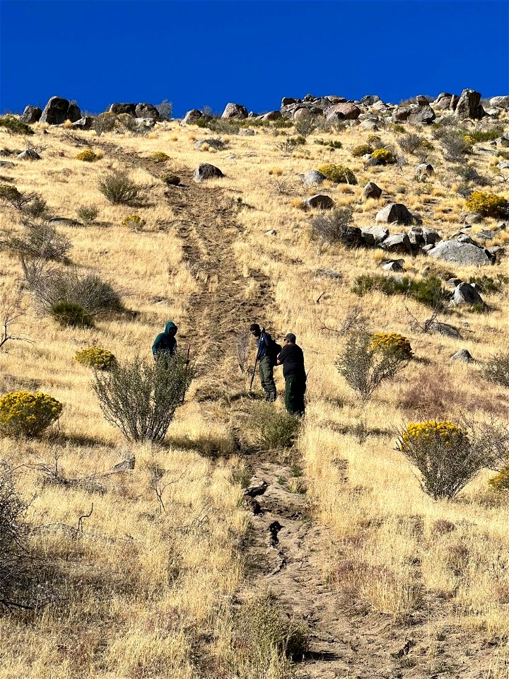 Staff fixing illegal trails
