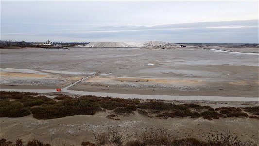 Les marais salants de Salins-de-Giraud