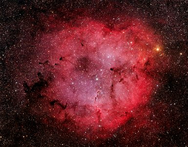 IC 1396 nebular complex photo