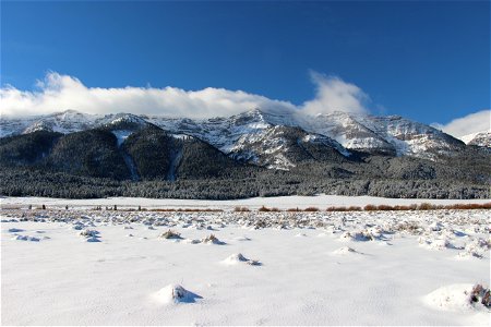 Mountain Snowscape photo