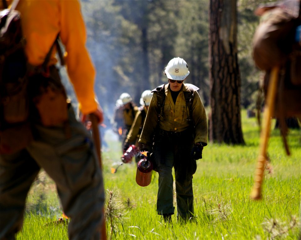 Crater Sinks prescribed fire project