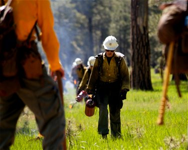Crater Sinks prescribed fire project photo
